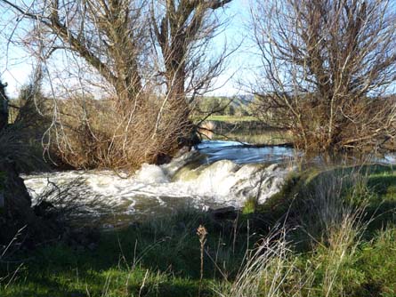 VineSmart - New Zealand Vineyard, Winery, Home, and Olive Grove For Sale - Marlborough, South Island, New Zealand  - Wine Real Estate